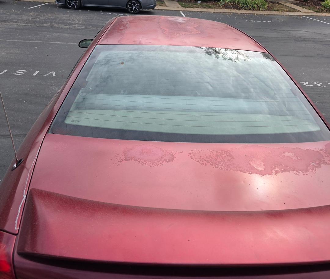 Ford_Taurus 