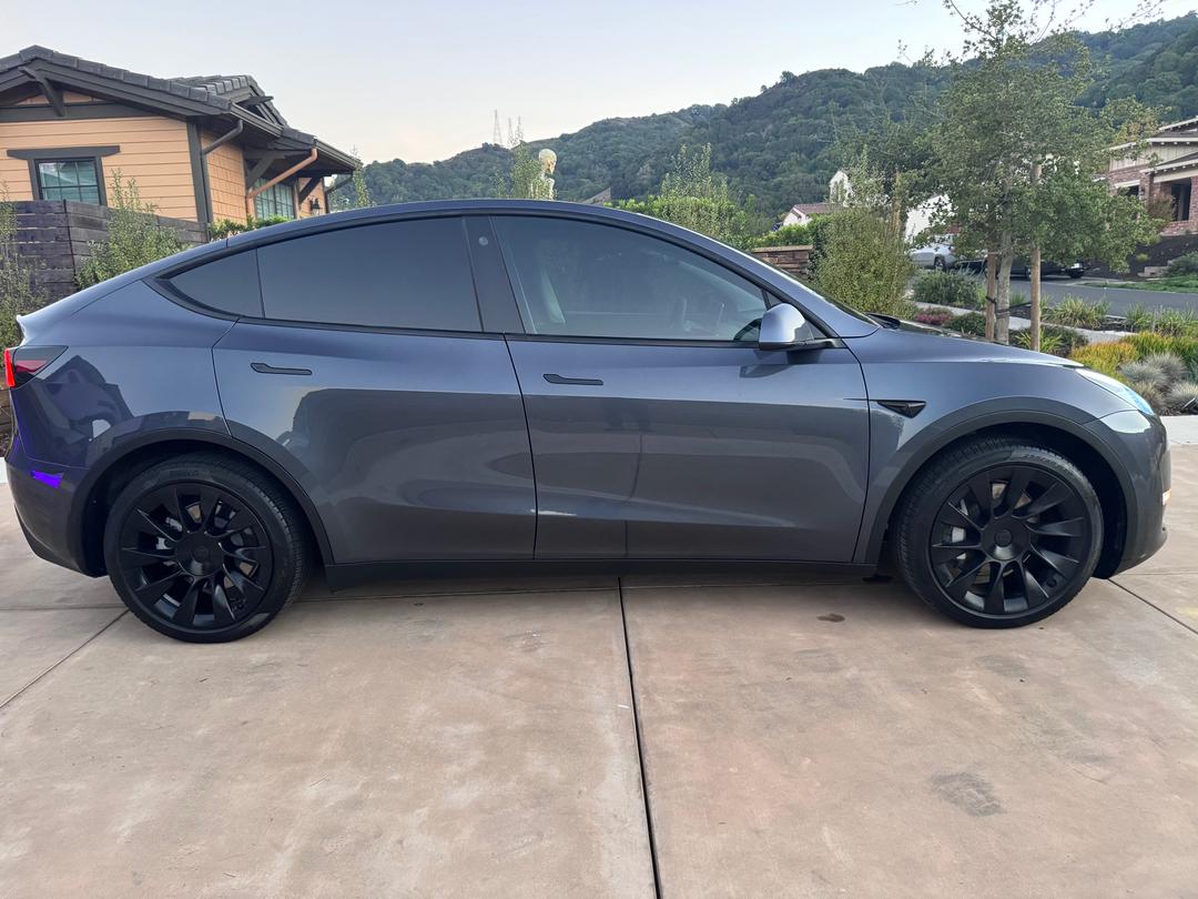 Tesla_Model Y 