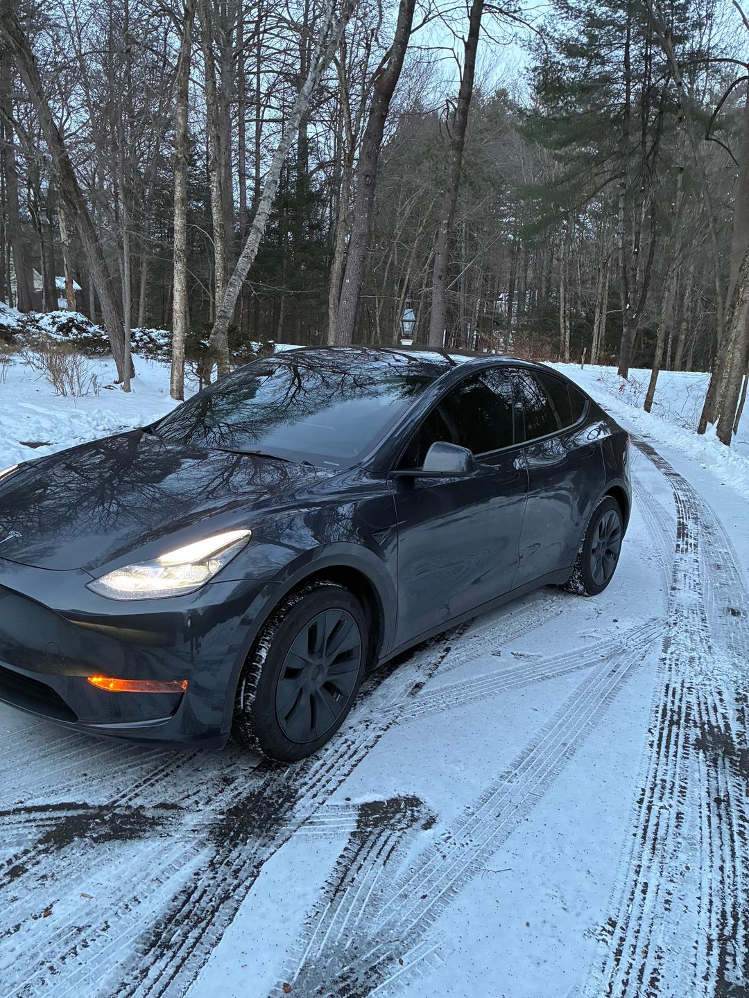Tesla_Model Y 