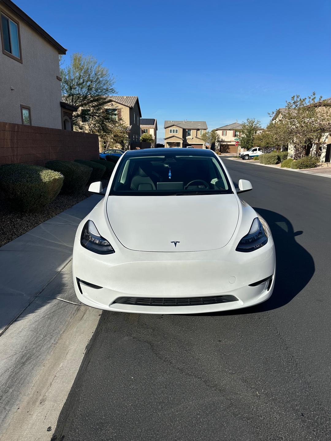 Tesla_Model Y 