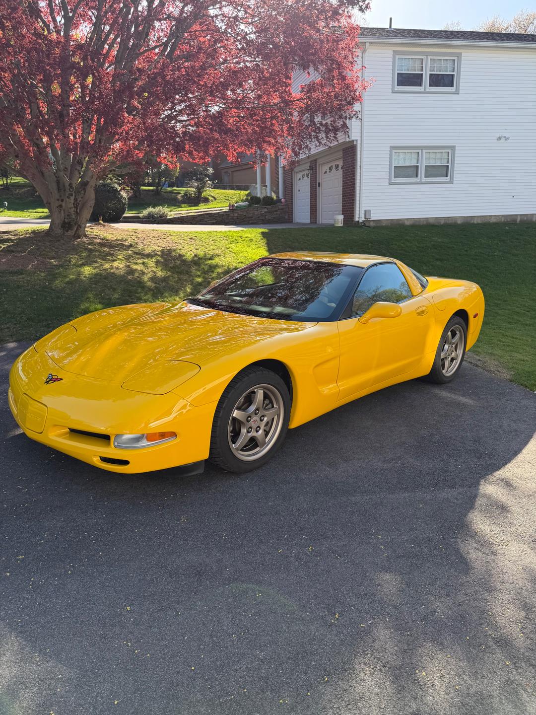 Chevrolet_Corvette 