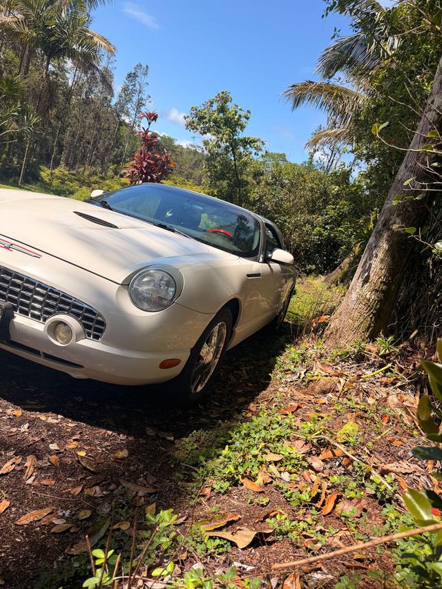 car_image_202x236