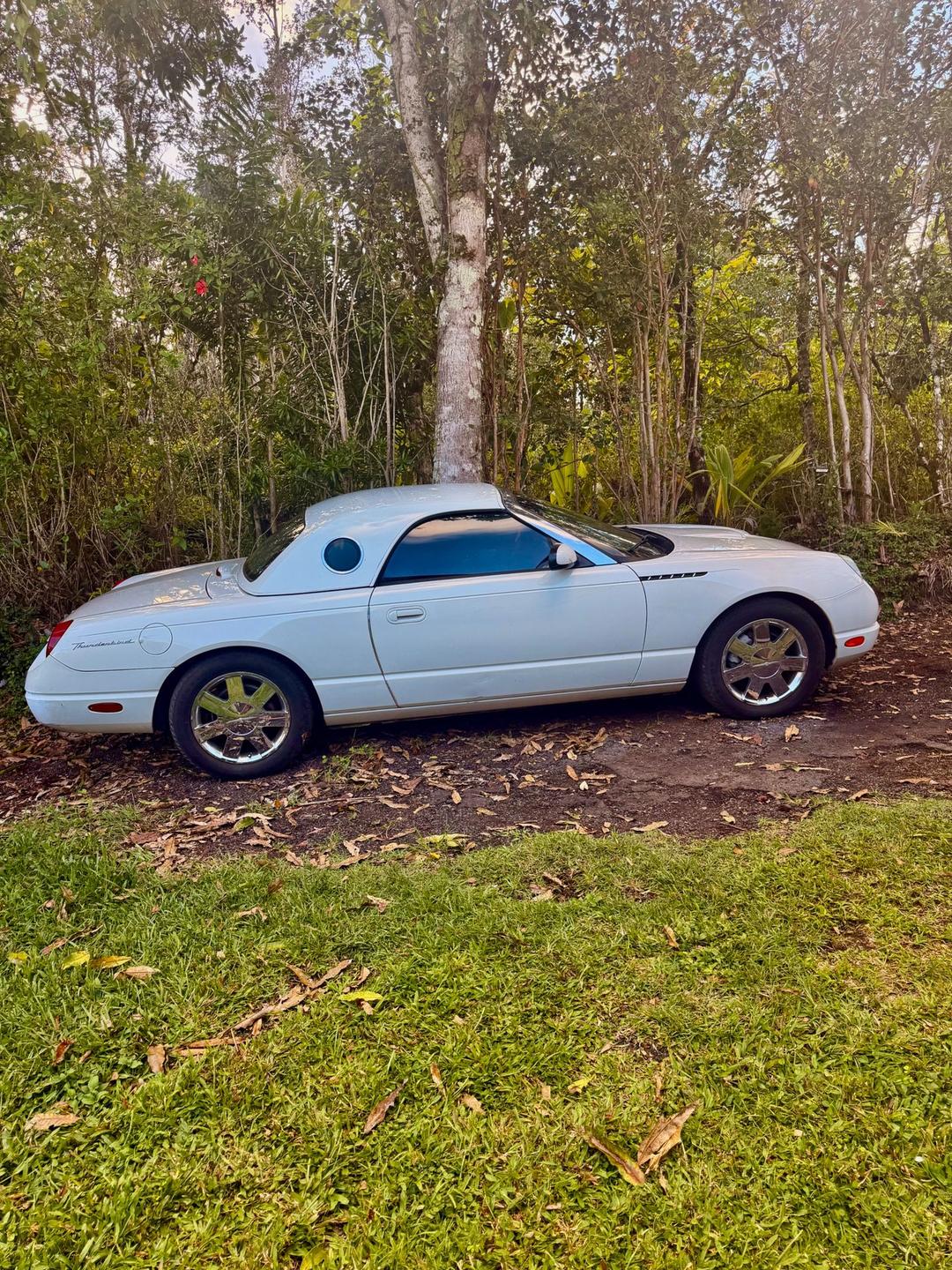 Ford_Thunderbird 