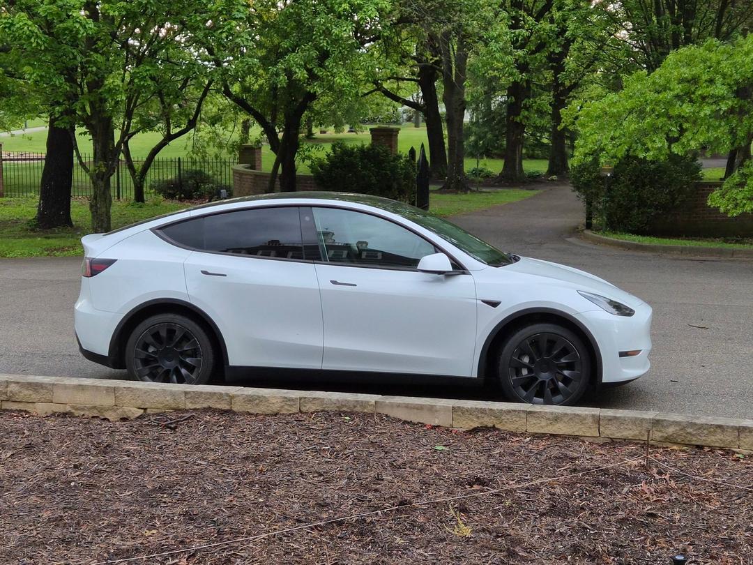 Tesla_Model Y 