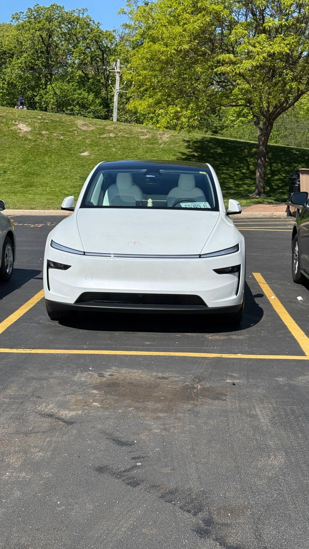 Tesla_Model Y 