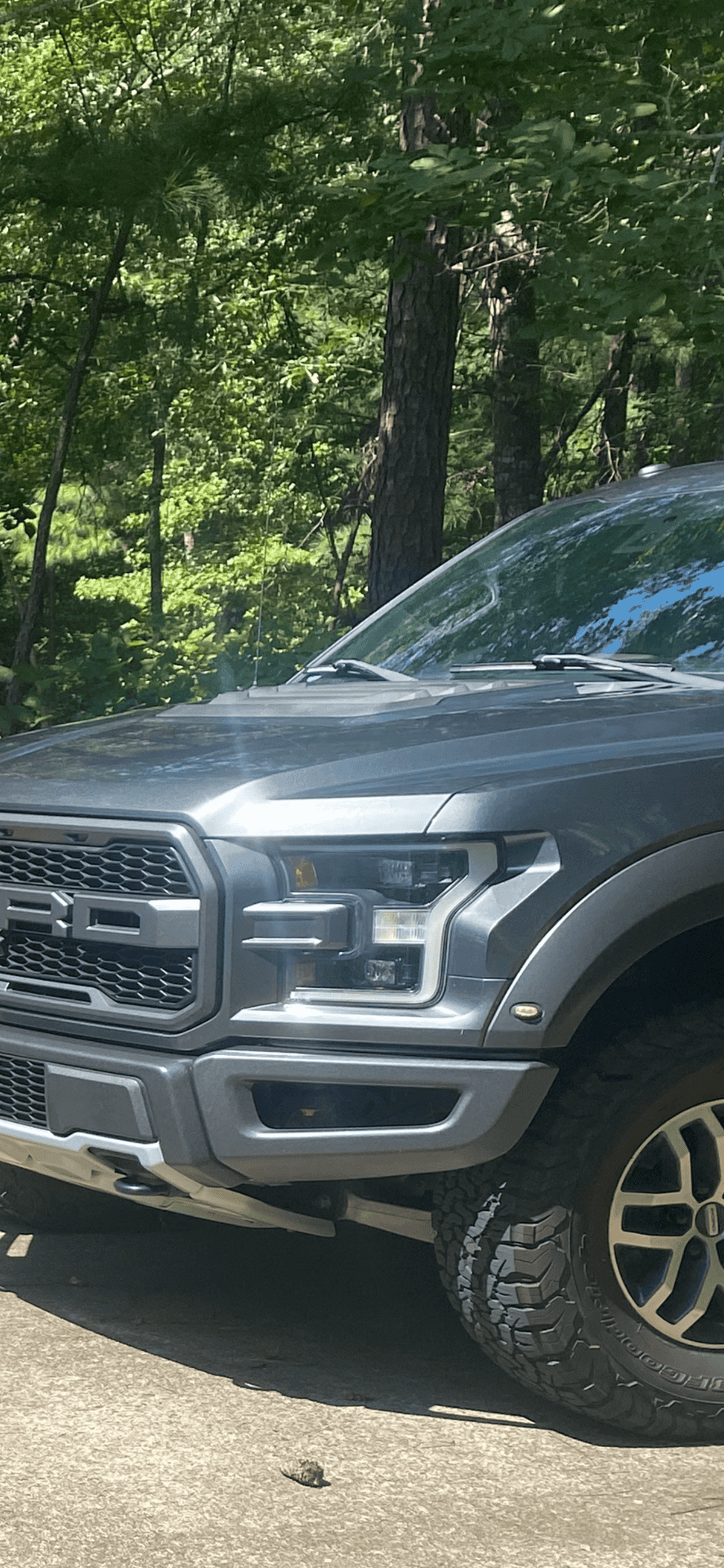 Ford_F-150 