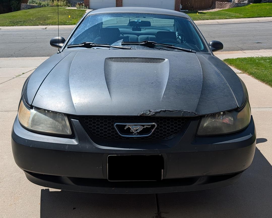 Ford_Mustang 
