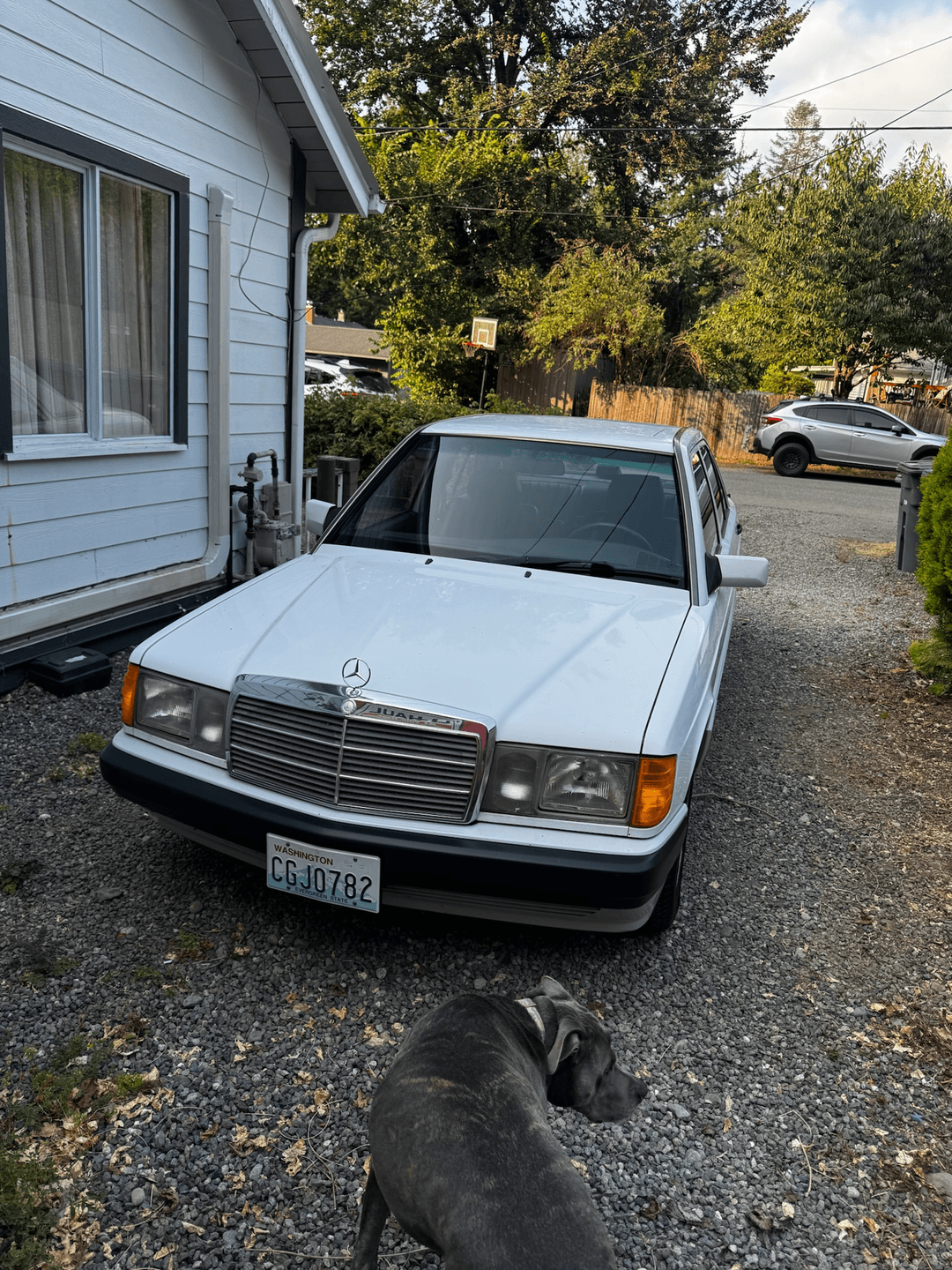 Mercedes-Benz_190 Series