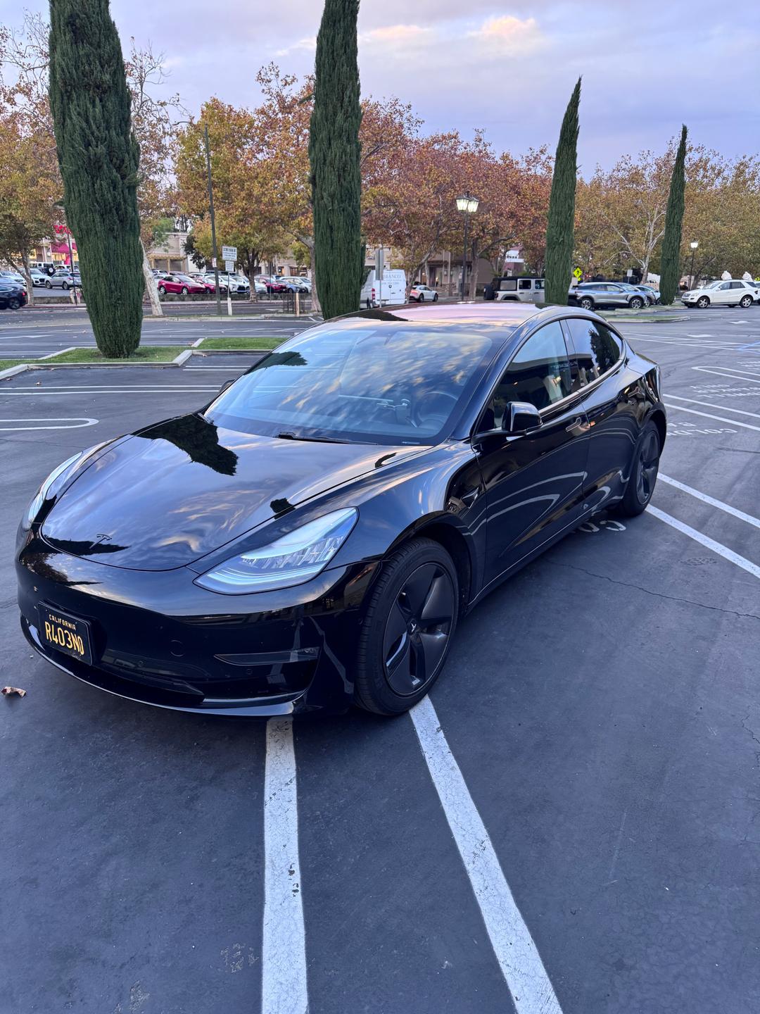 Tesla_Model 3