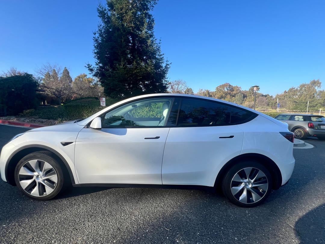Tesla_Model Y