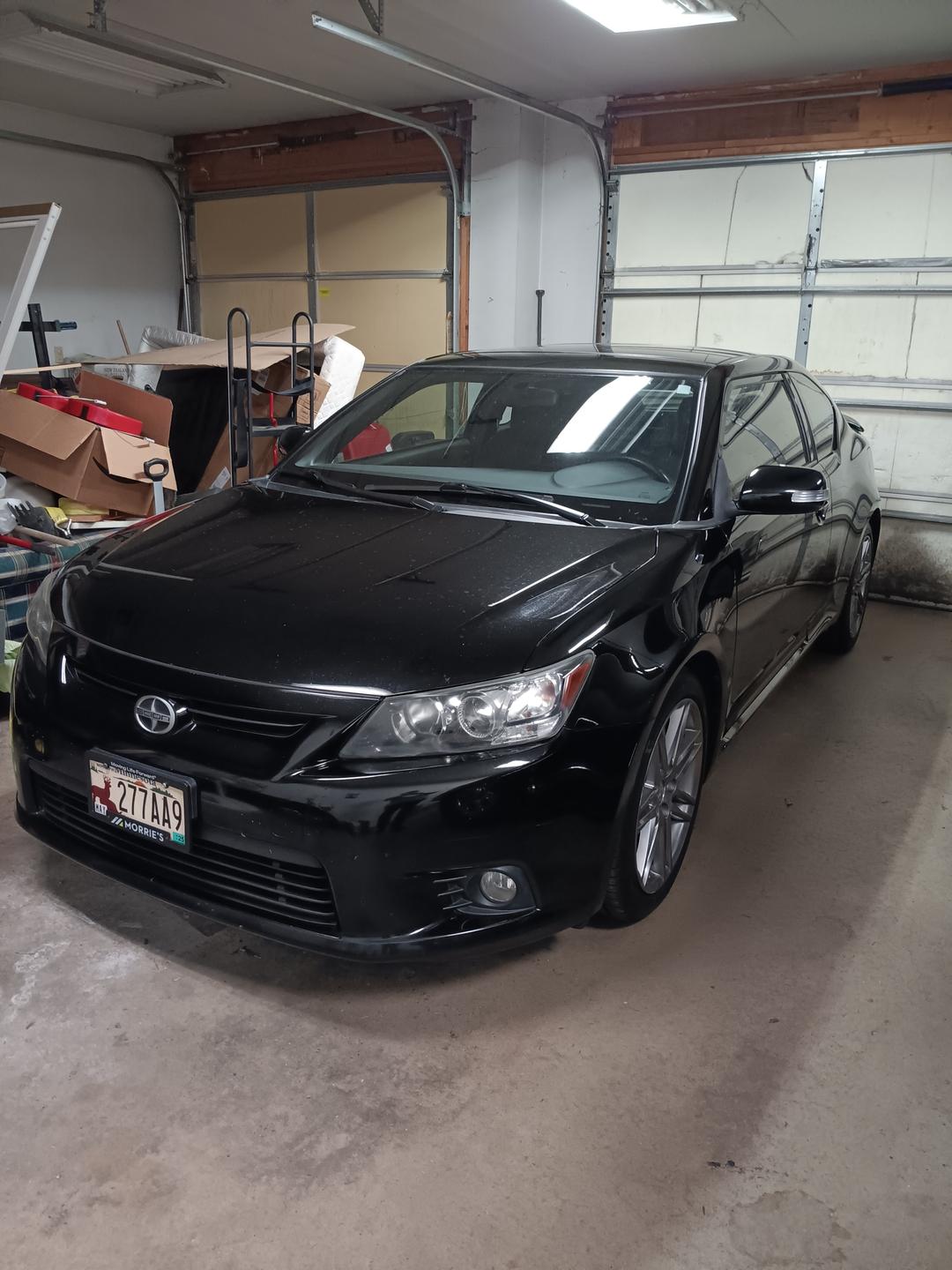 Scion_tC