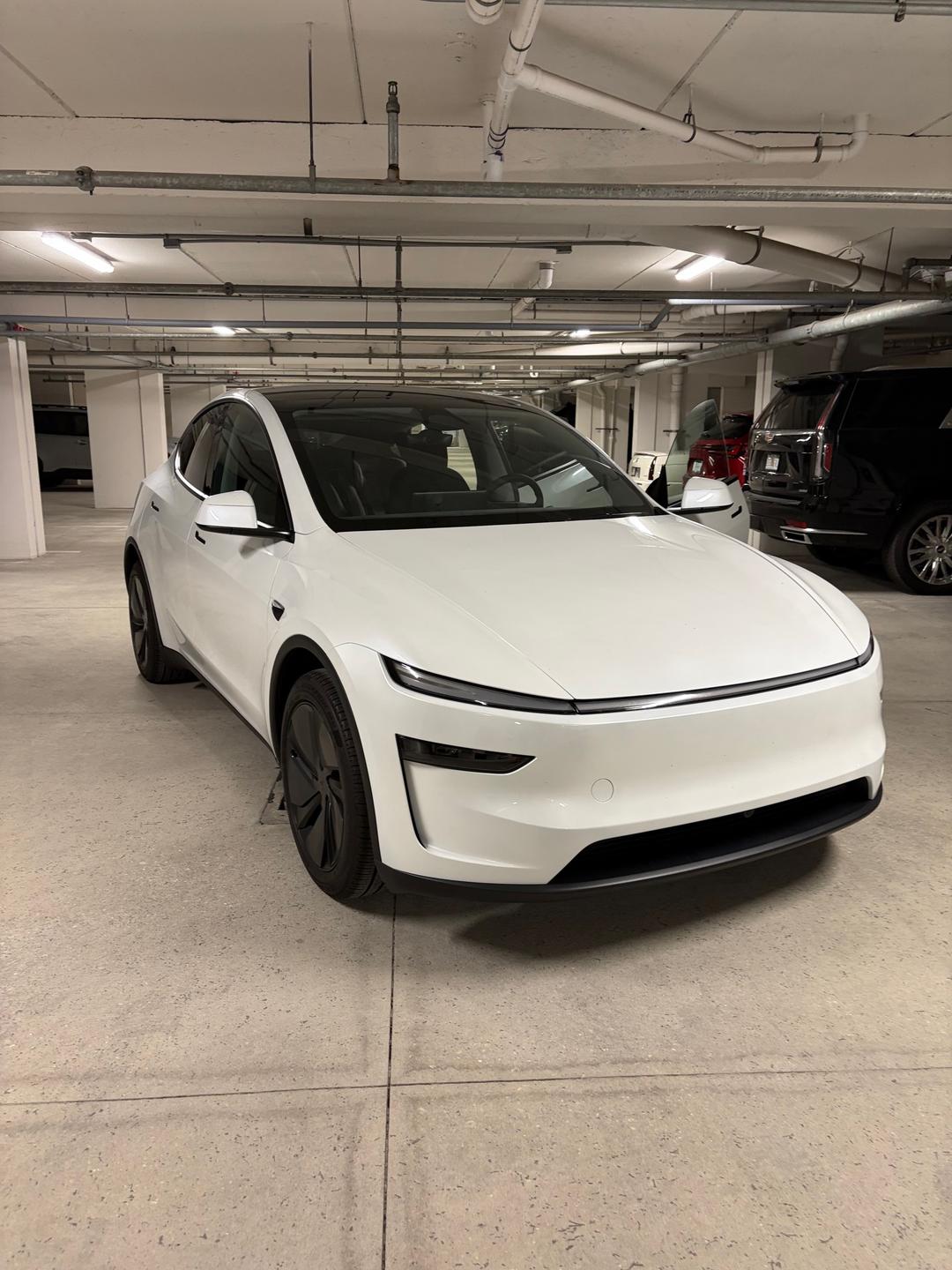 Tesla_Model Y