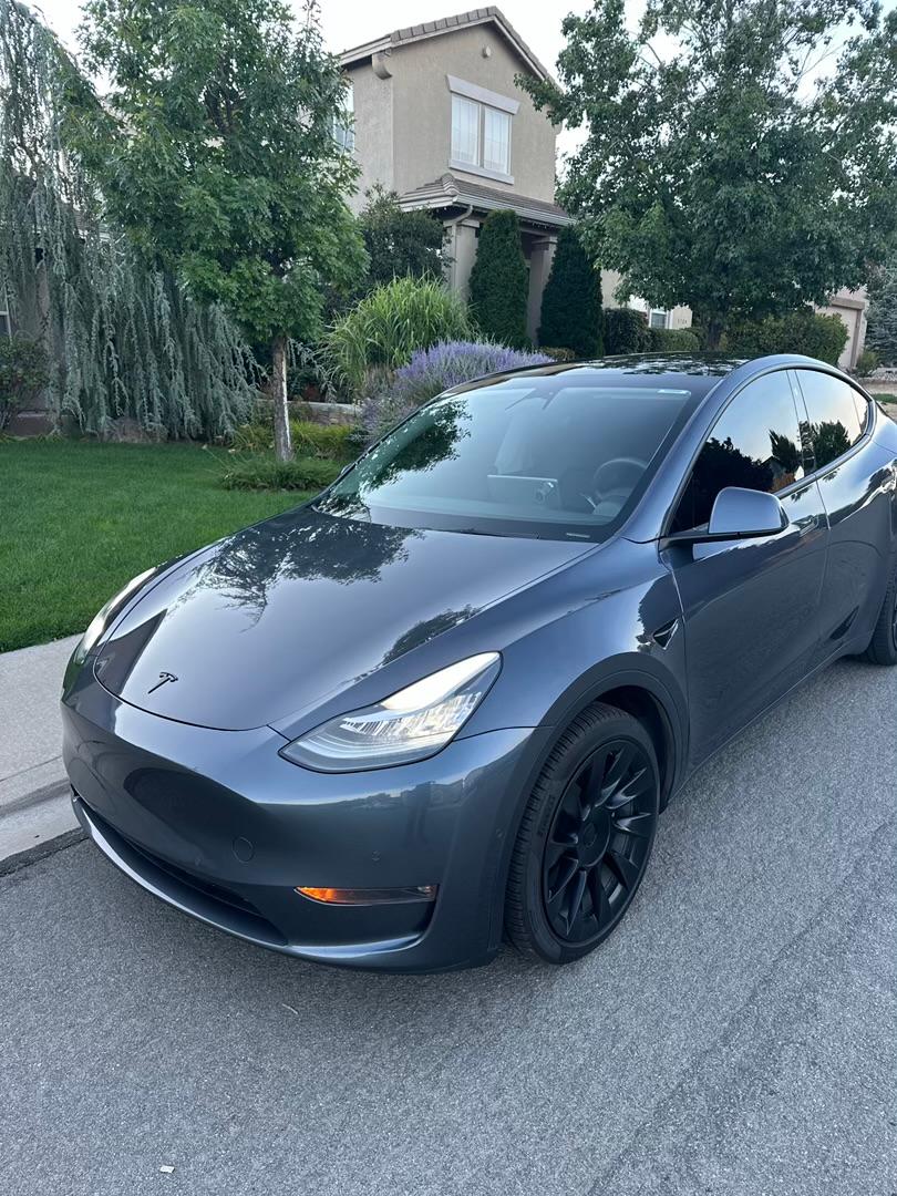 Tesla_Model Y