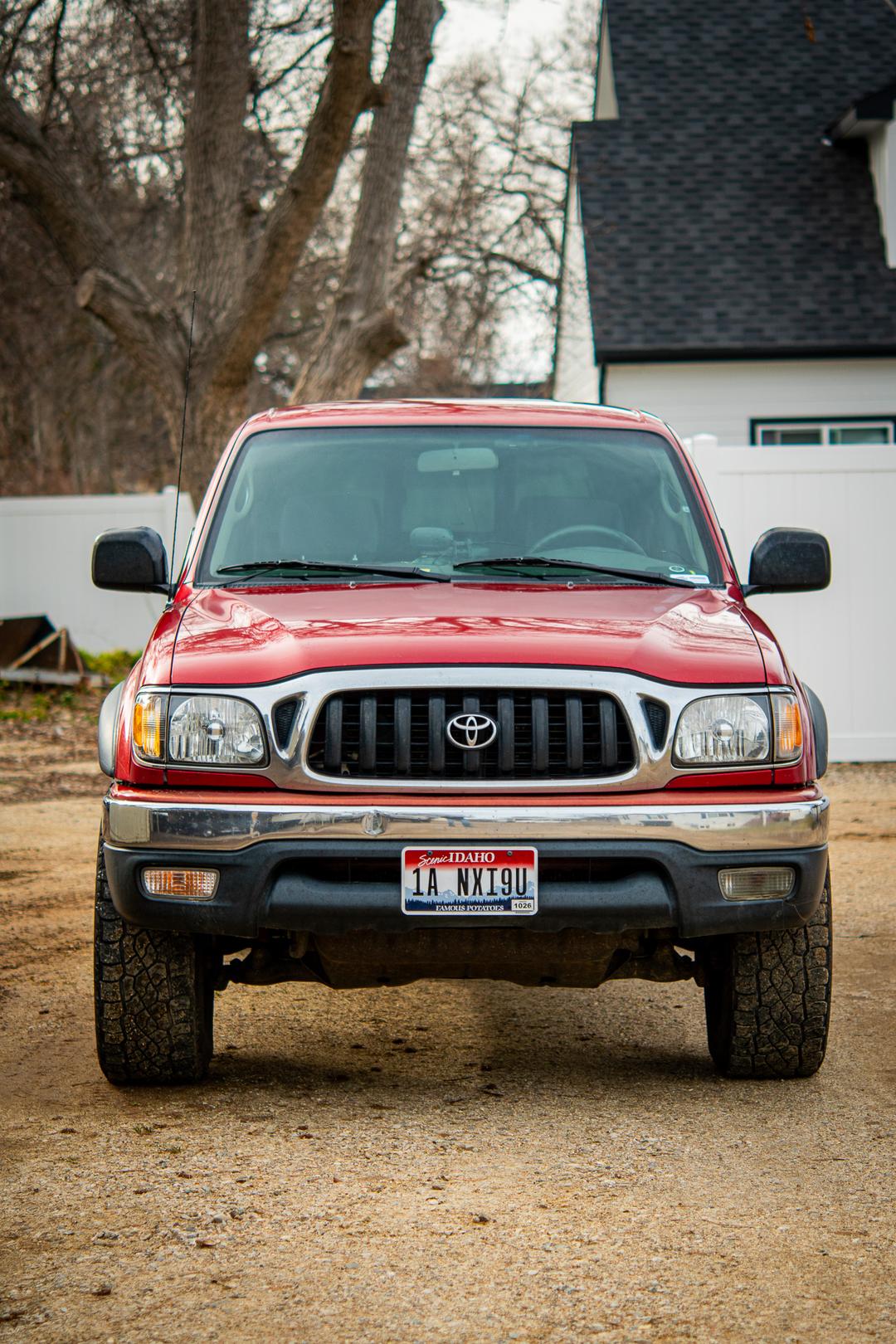 Toyota_Tacoma