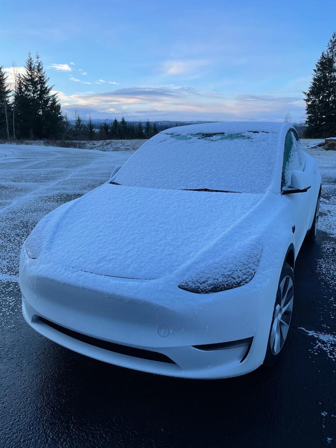 Tesla_Model Y