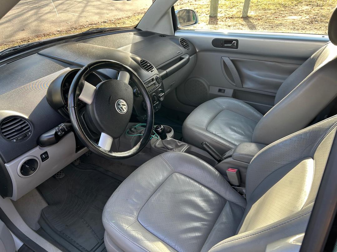 Volkswagen_New Beetle