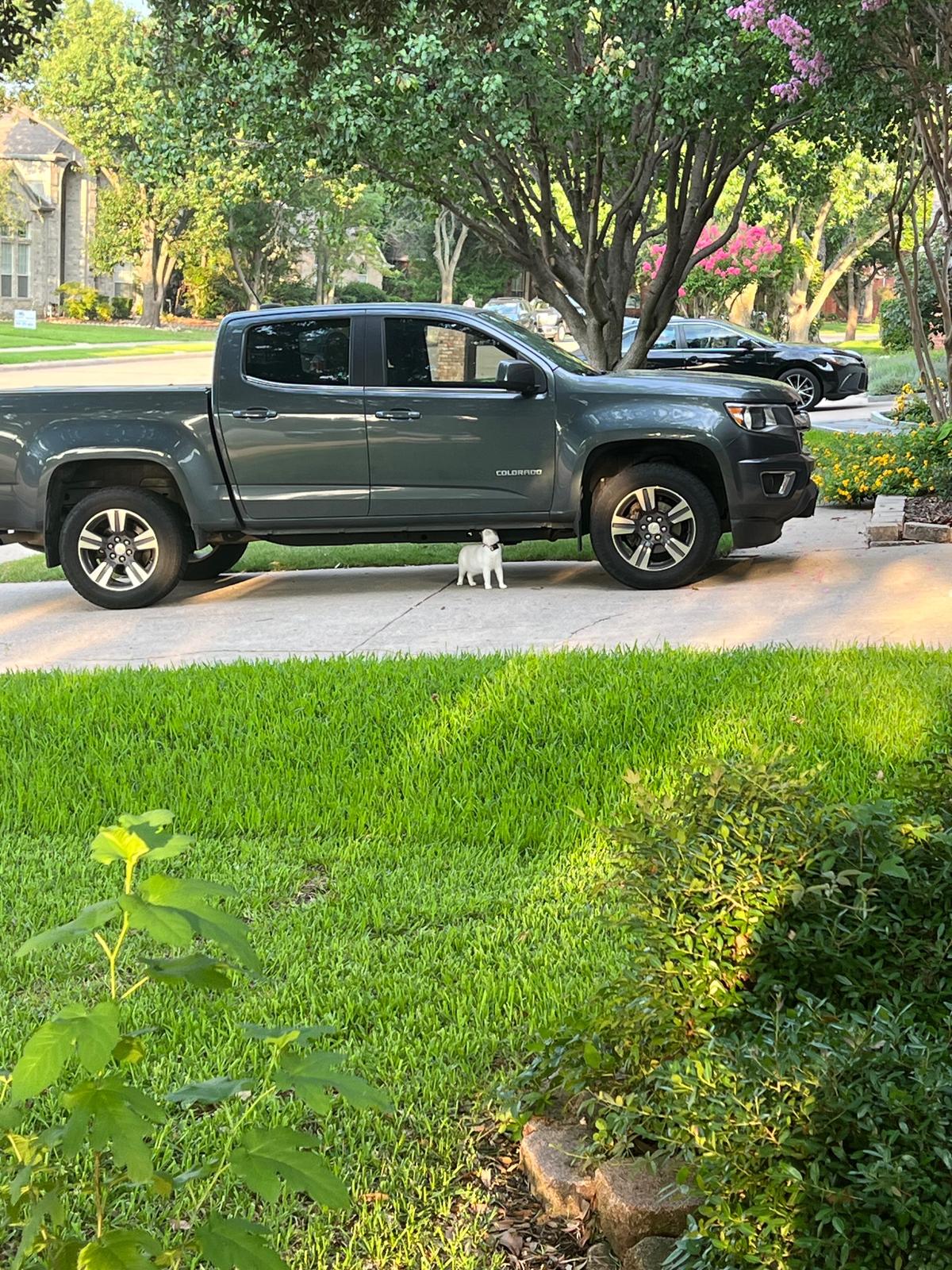 car_image_564x480 -