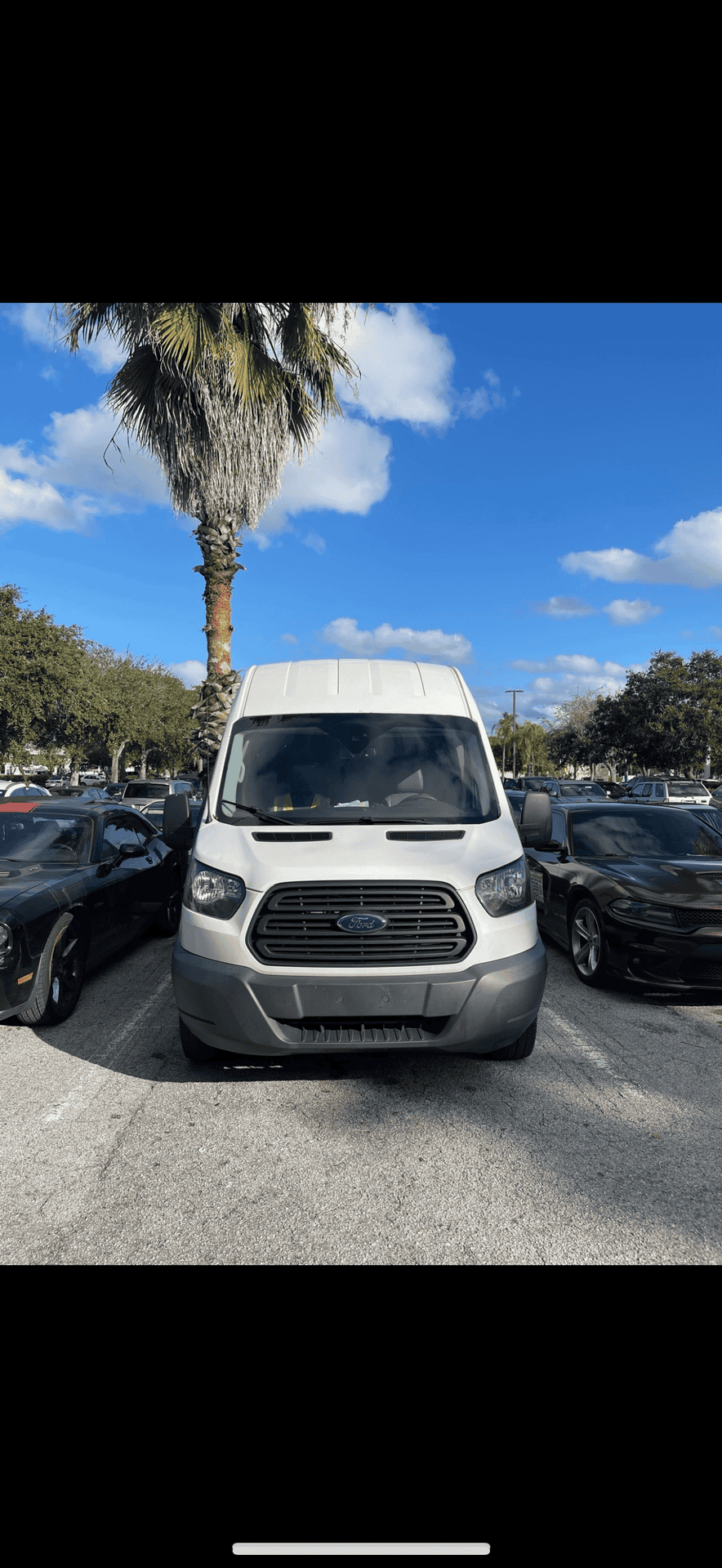 Ford_T350 Vans