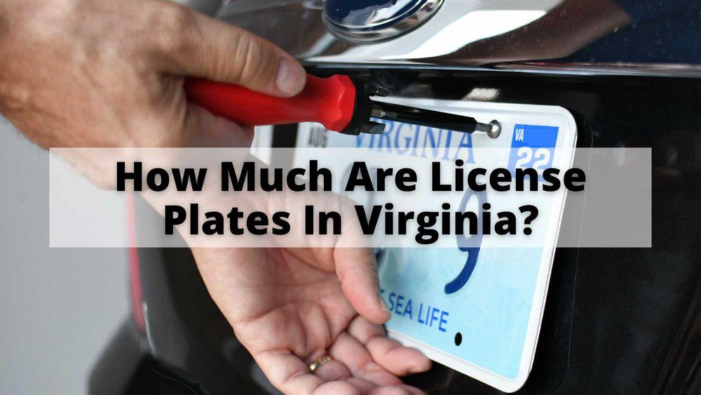 How Much Are License Plates In Virginia?