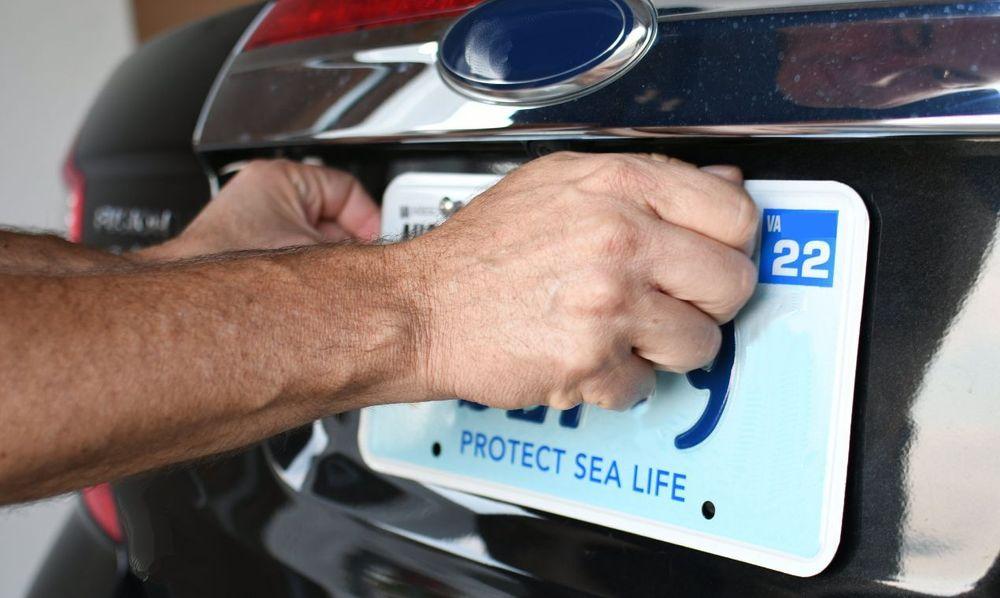 Person removing a Virginia license plate