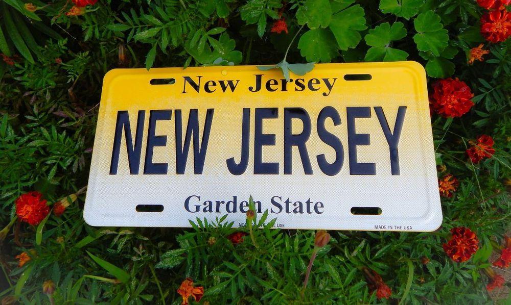 Custom New Jersey license plate