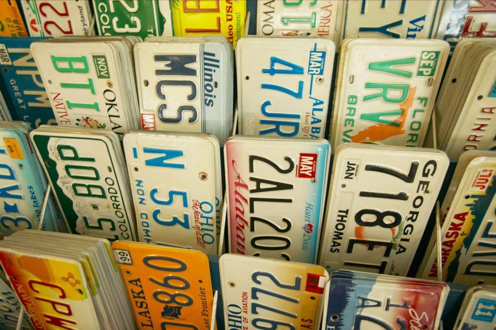 Shelves of license plates